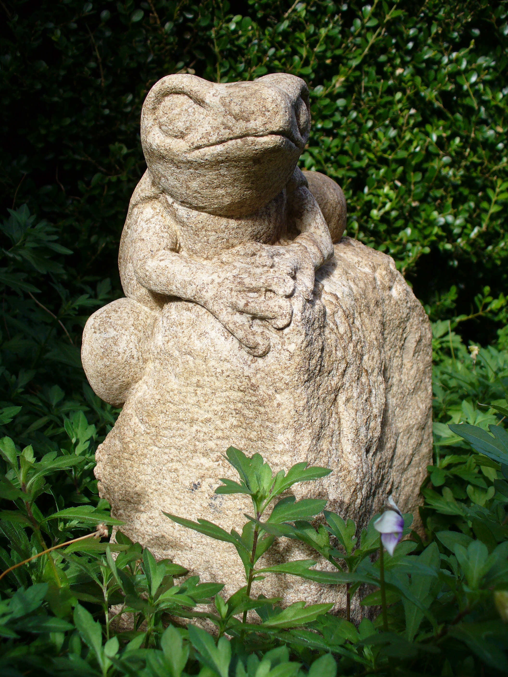 Frog 2